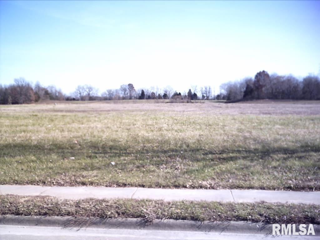Lot 11 Financial Dr., Carbondale, IL 62901