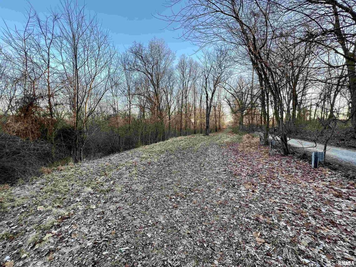 000 Panthers Den Dr., Makanda, IL 62958