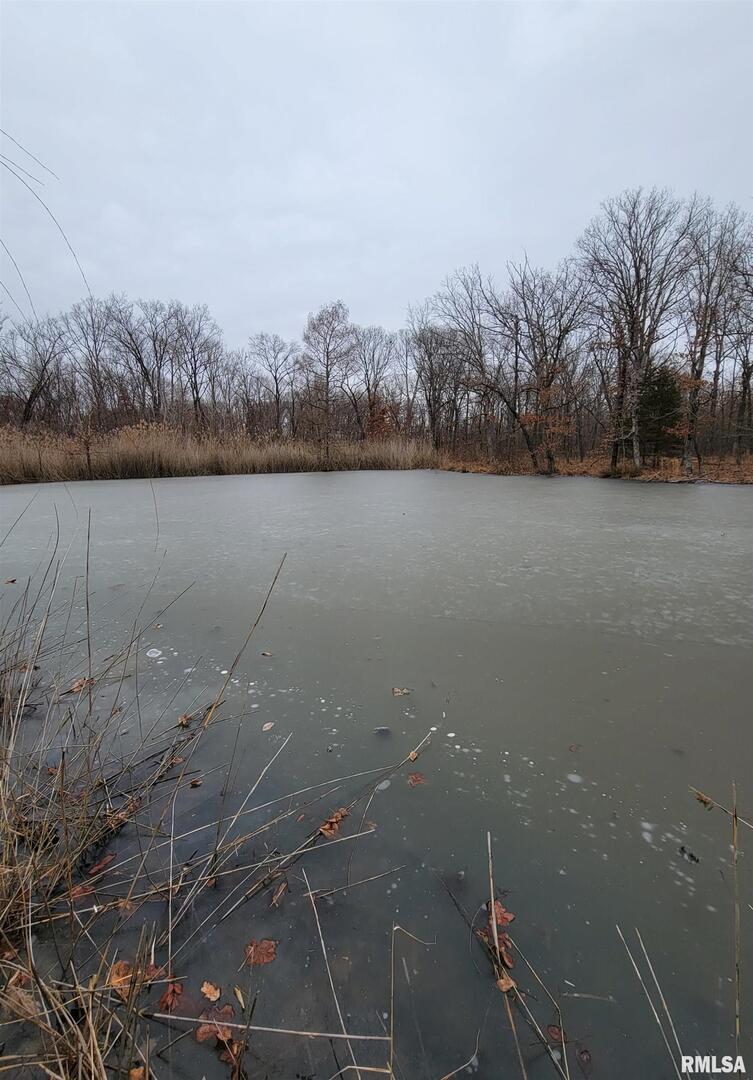 0000 Speidel Rd., Sandoval, IL