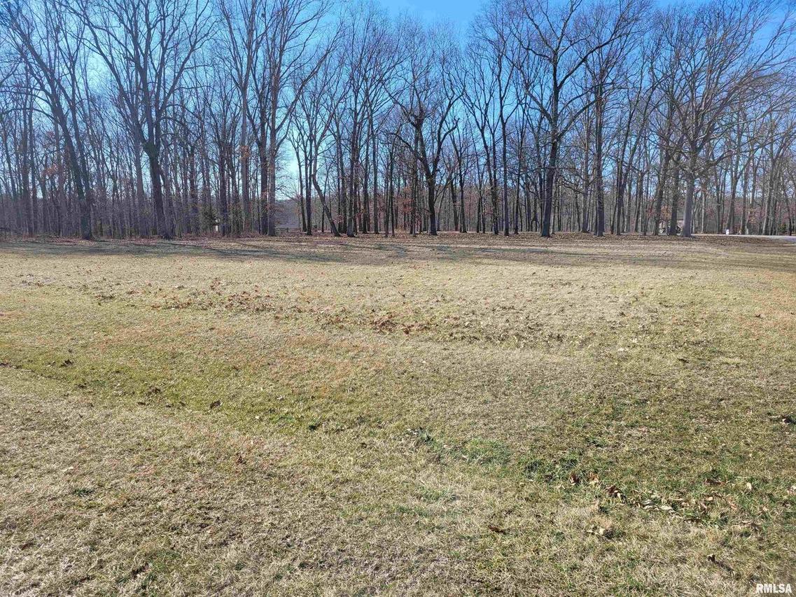 Lot 26 Oak Shores, Dix, IL 62830