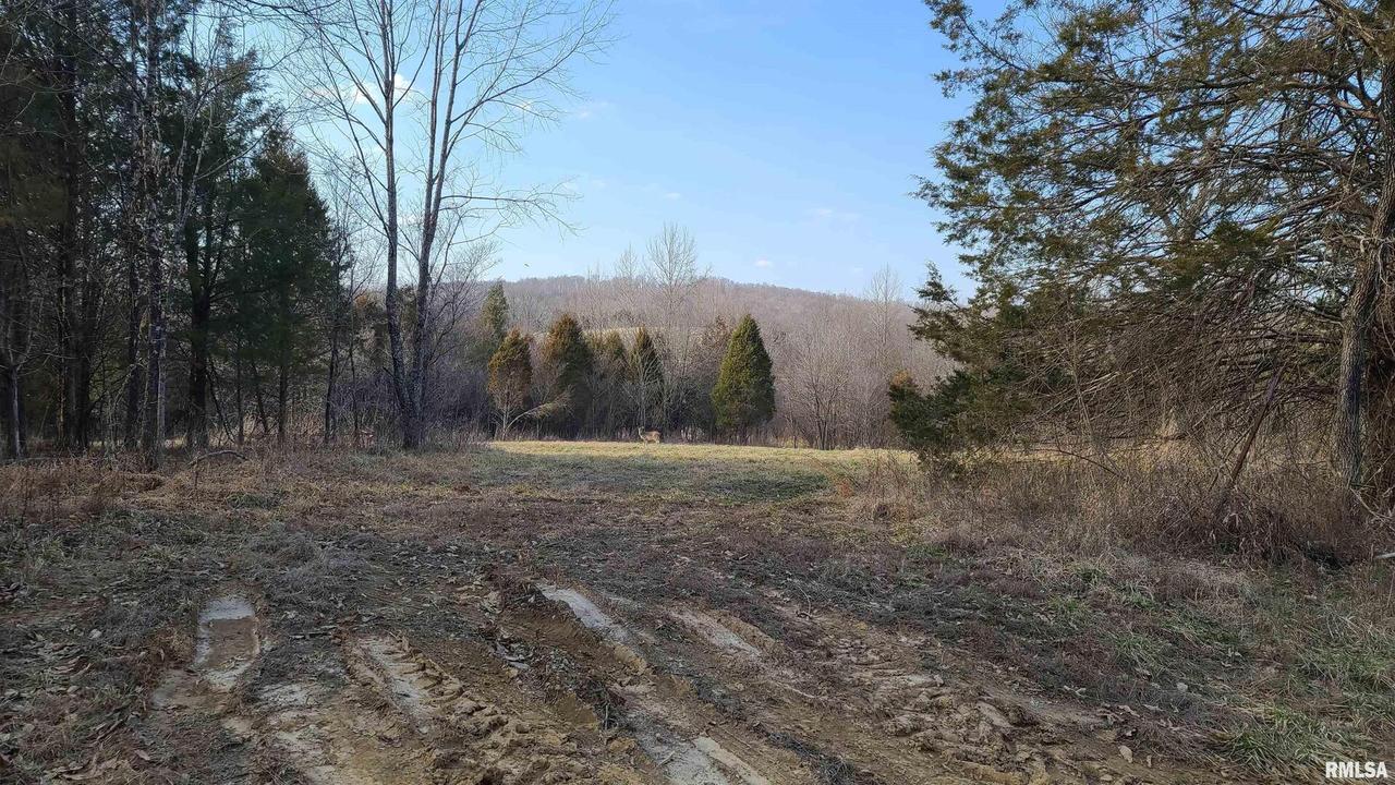 0000 Ragan Rd., Eddyville, IL 62928