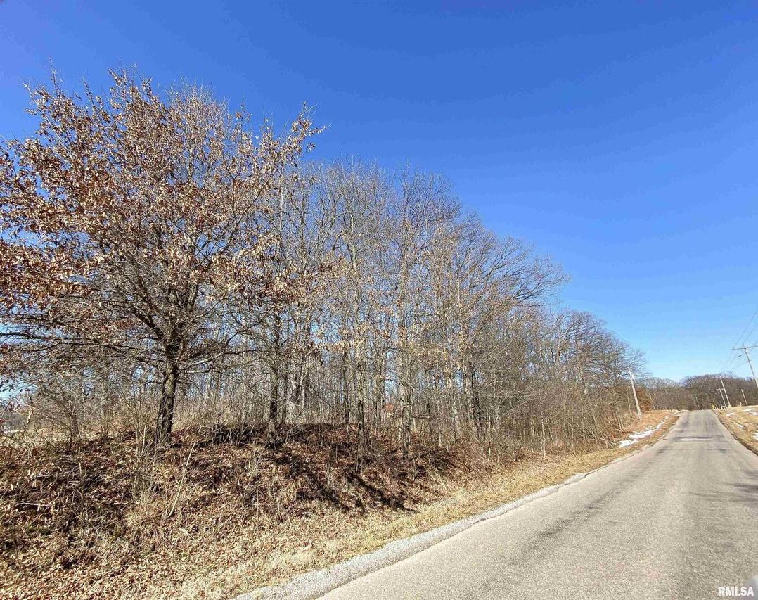 219 Hanging Rock Rd., Flora, IL 62839