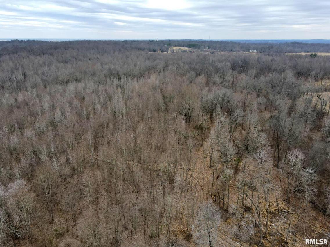 000 Marion Rd., Metropolis, IL 62960