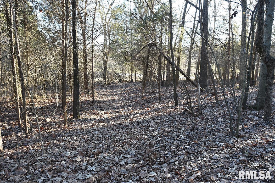 000 Us Hwy 45 S Hwy., Vienna, IL 62995