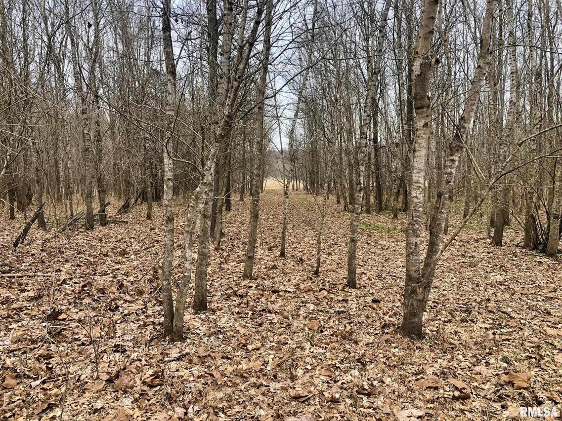 250 Reevesville Rd., Grantsburg, IL 62943