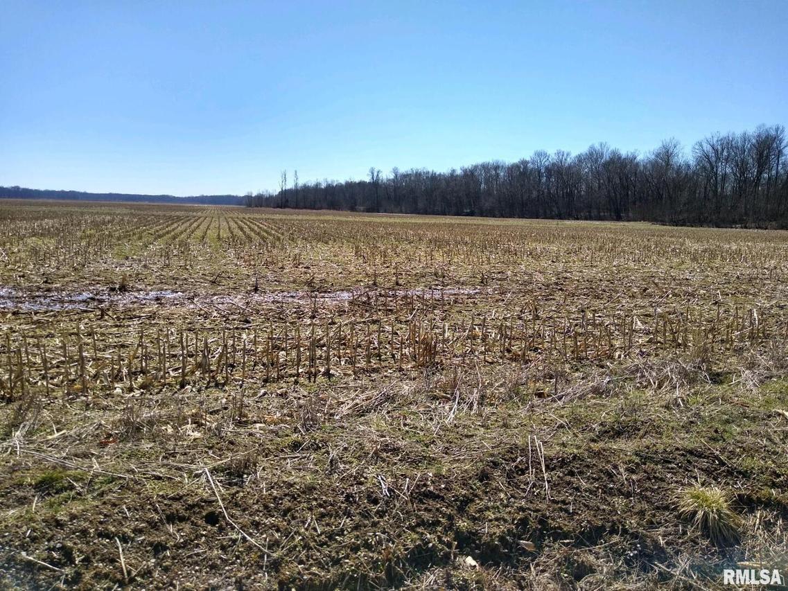 0000 Allen Rd., Buncombe, IL 62912