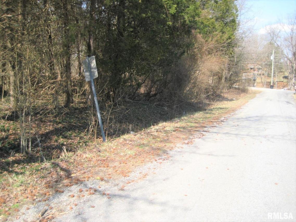 Lots 250 & 251 Scott Dr., Goreville, IL 62959