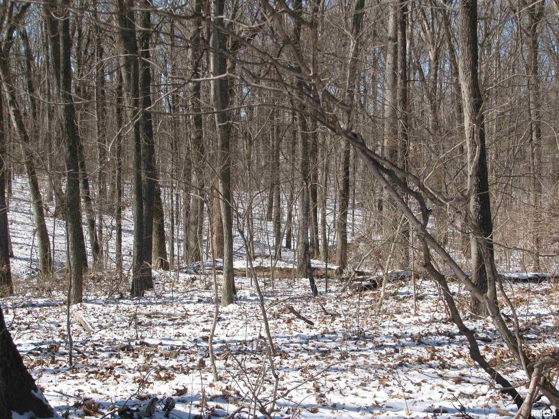 1539 Jenkins Rd., Murphysboro, IL 62966