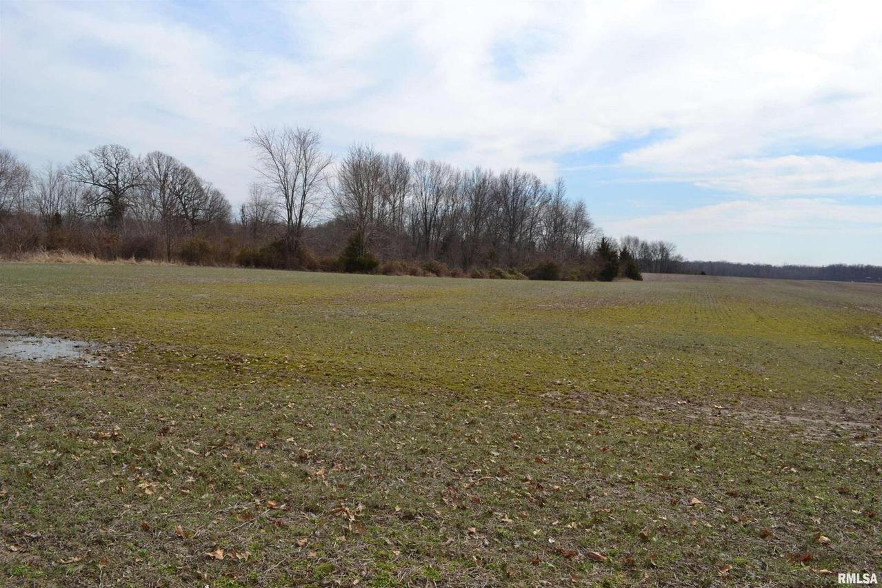 W Satch Rd., Buckner, IL 62819