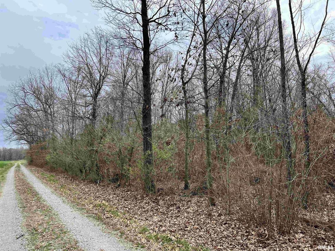 000 Rude Cemetery Rd., Desoto, IL 62924