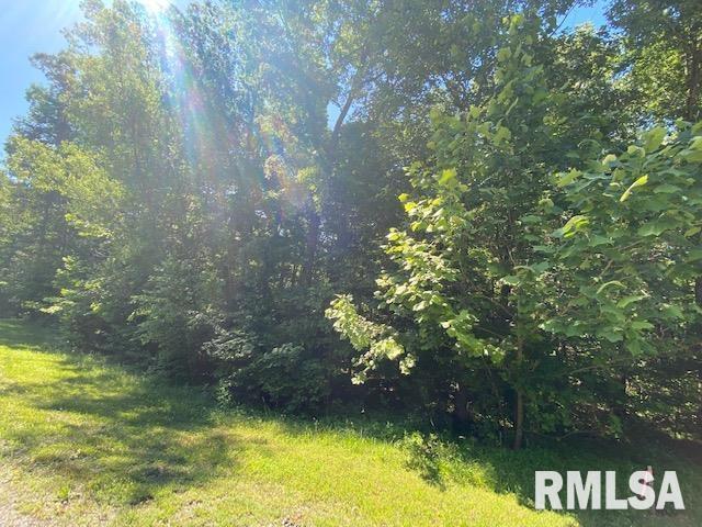 Lot 63 Saluki Way, Goreville, IL 62939