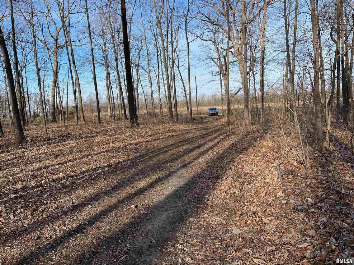 7762 Jones Rd., Alma, IL 62807