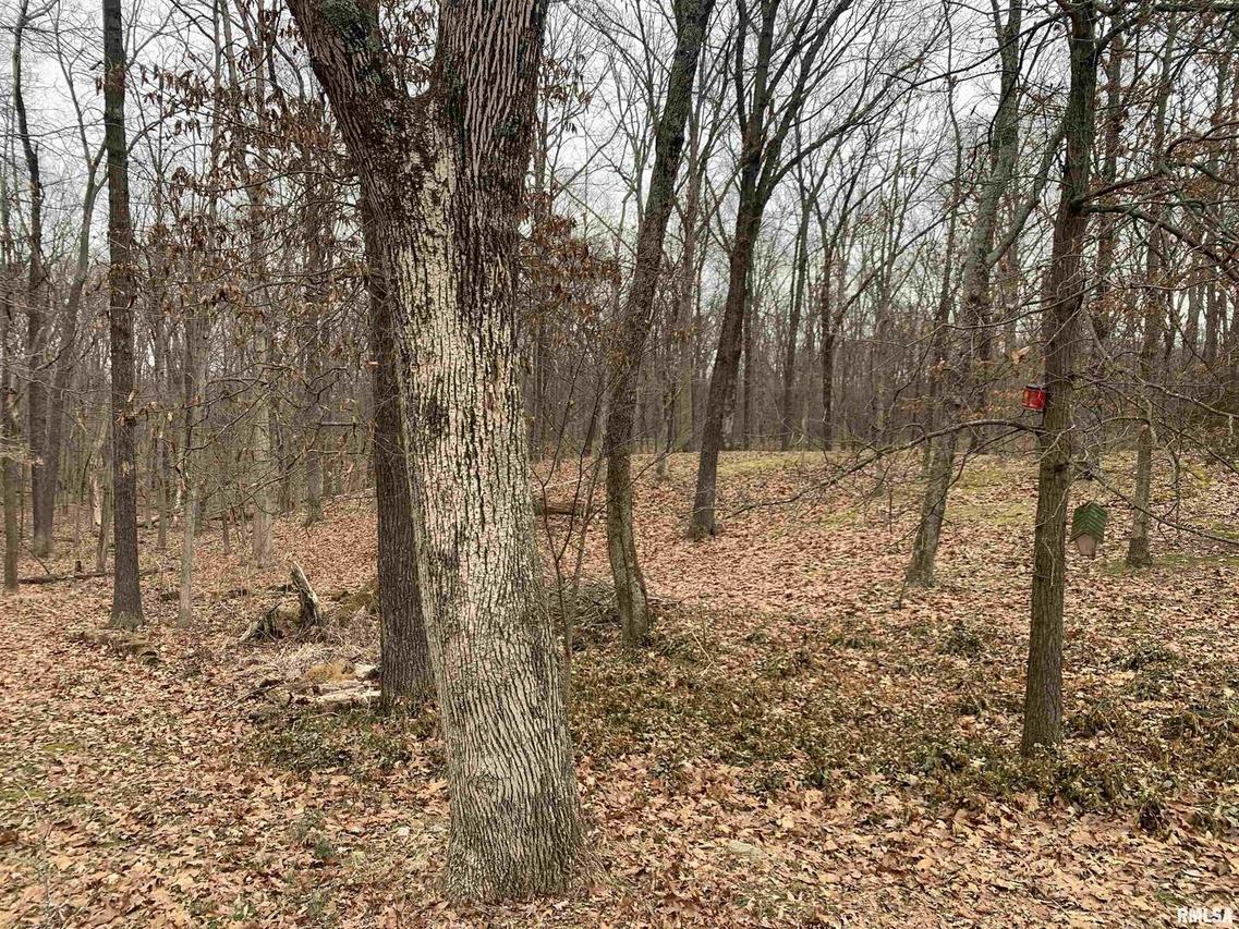 000 E Soper Dr., Odin, IL 62870