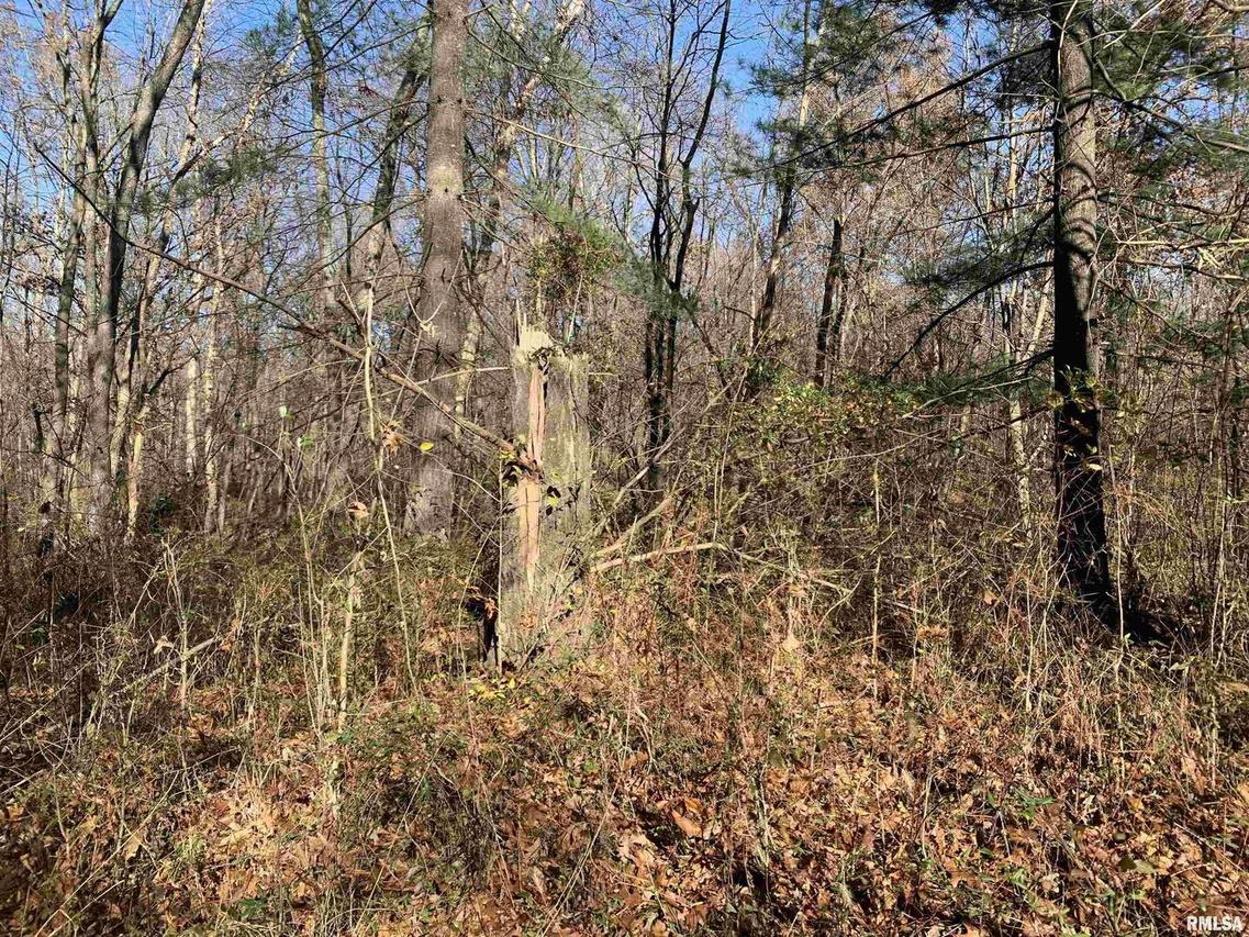 000 N County Road 2375 N Rd., Xenia, IL 62899