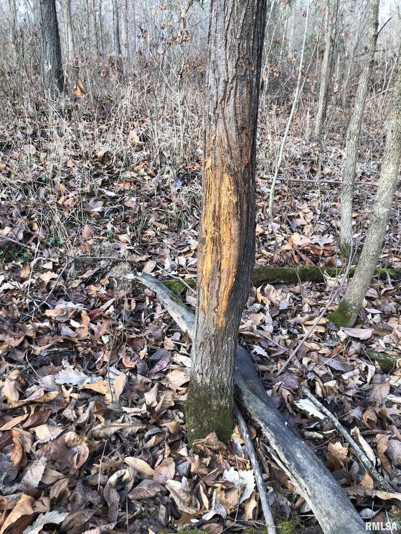 000 Highway 15 None, Fairfield, IL 62837