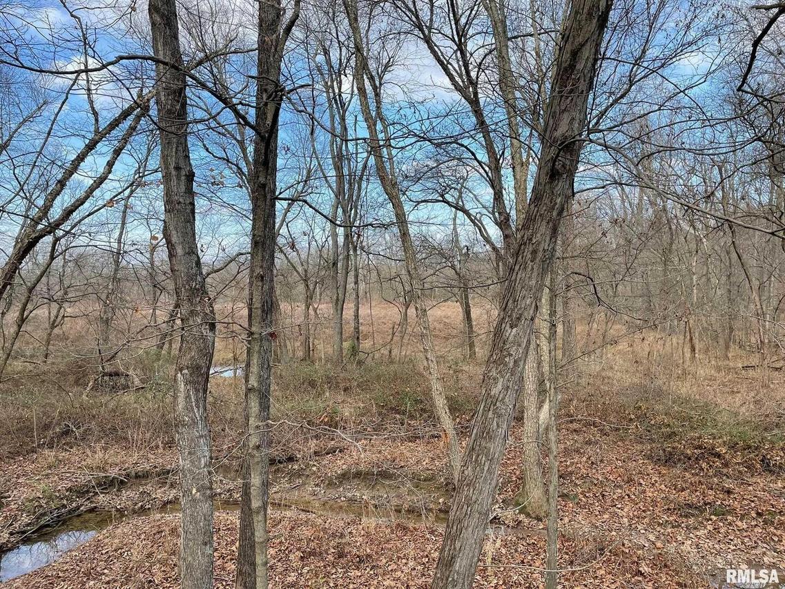 000 Blue Mound Rd., Flora, IL 62839