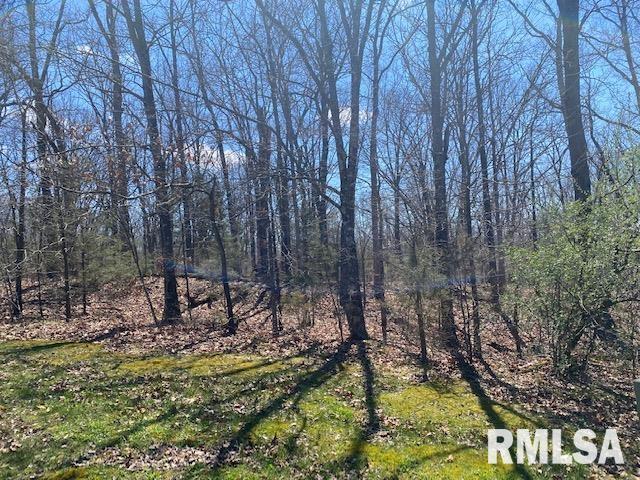 Lot 44 Saluki Way, Goreville, IL 62939