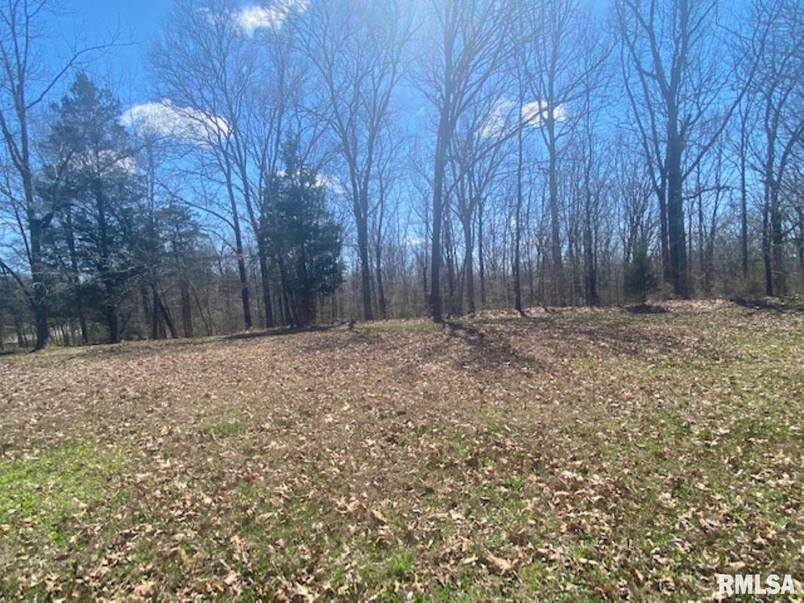 Lot 43 Saluki Way, Goreville, IL 62939