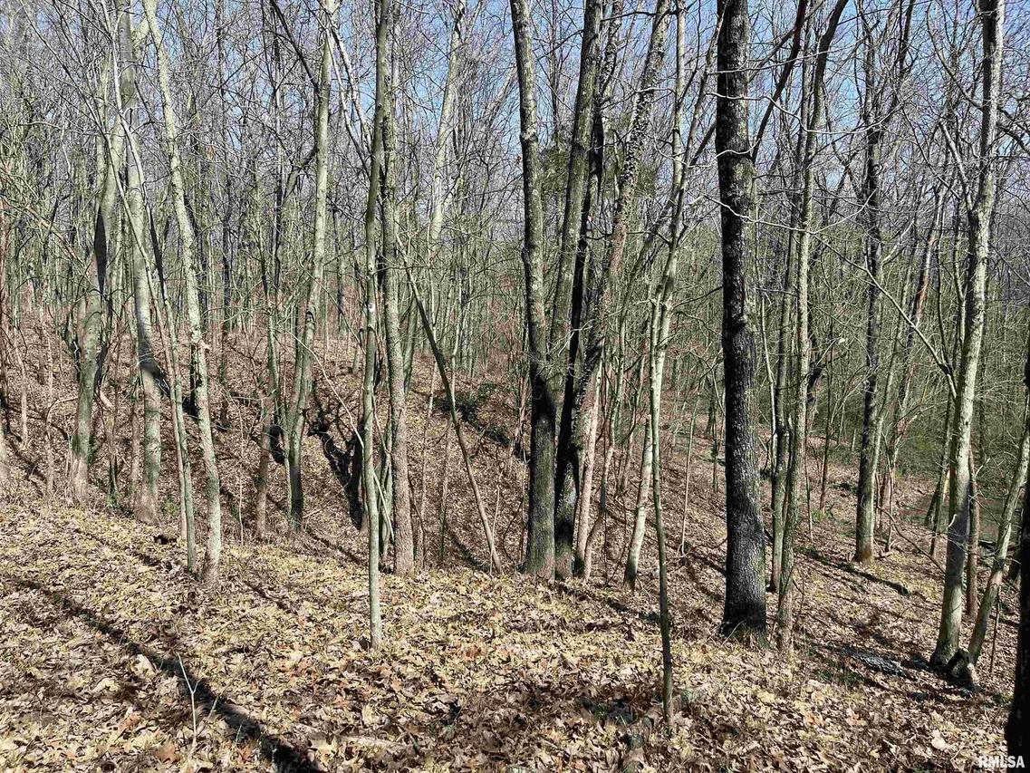 000 Sandpiper Rd., Bluford, IL 62814