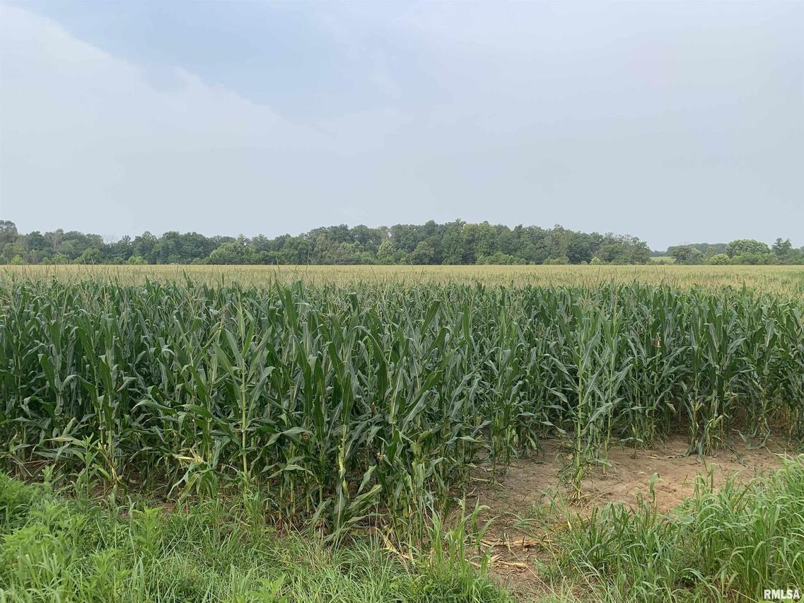 000 Roosevelt Rd., Centralia, IL 62801