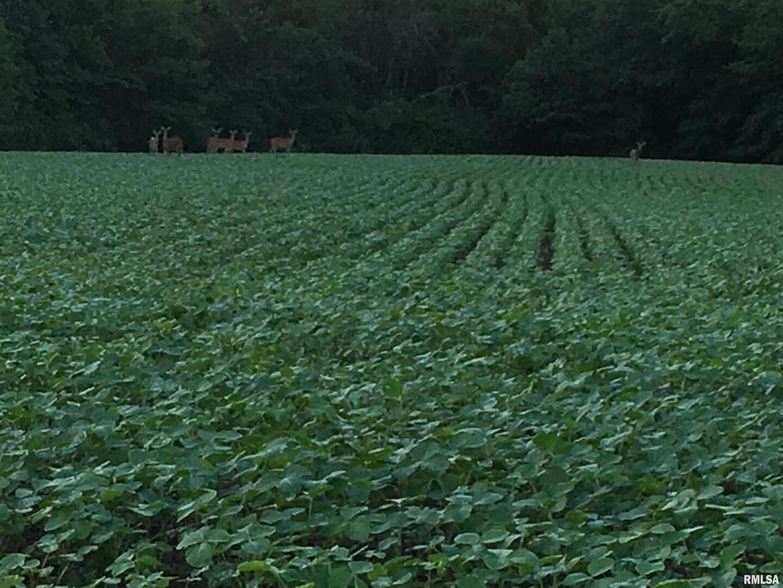 000 County Road 625 N Rd., Mcleansboro, IL 62892