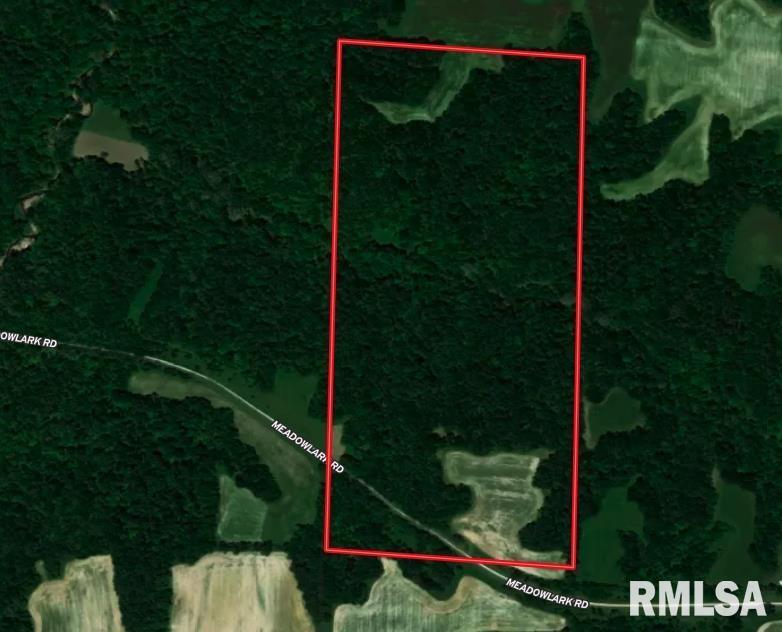 19479 Meadow Lark Rd., Rushville, IL 62681