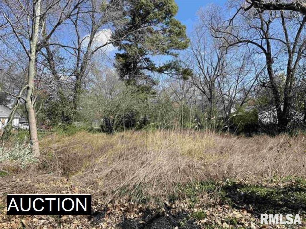 114 1/2 W Adams St., Benton, IL 62812