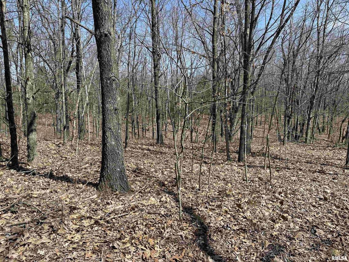 000 Medlin Rd., Centralia, IL 62801