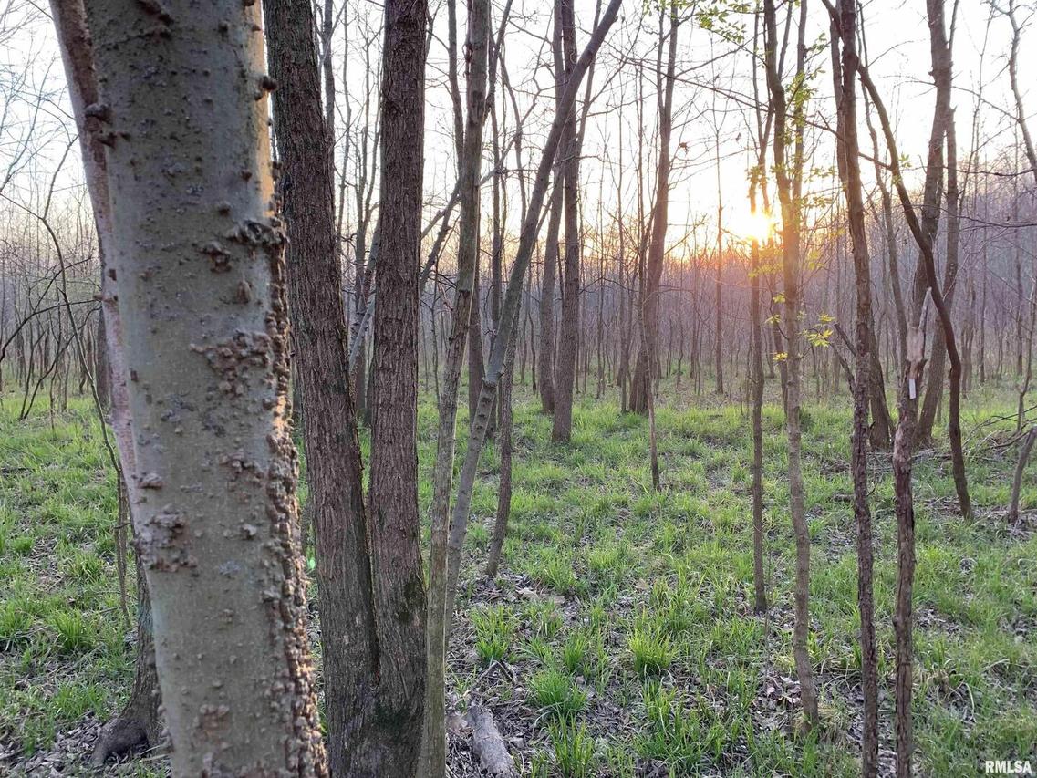 000 Buffalo Rd., Omaha, IL 62871