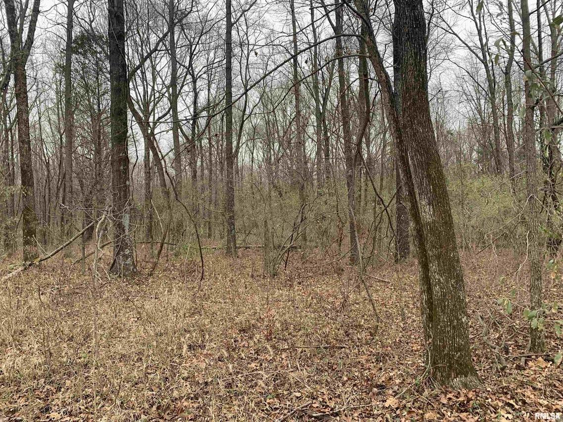 000 New Virginia Rd., Johnston City, IL 62951