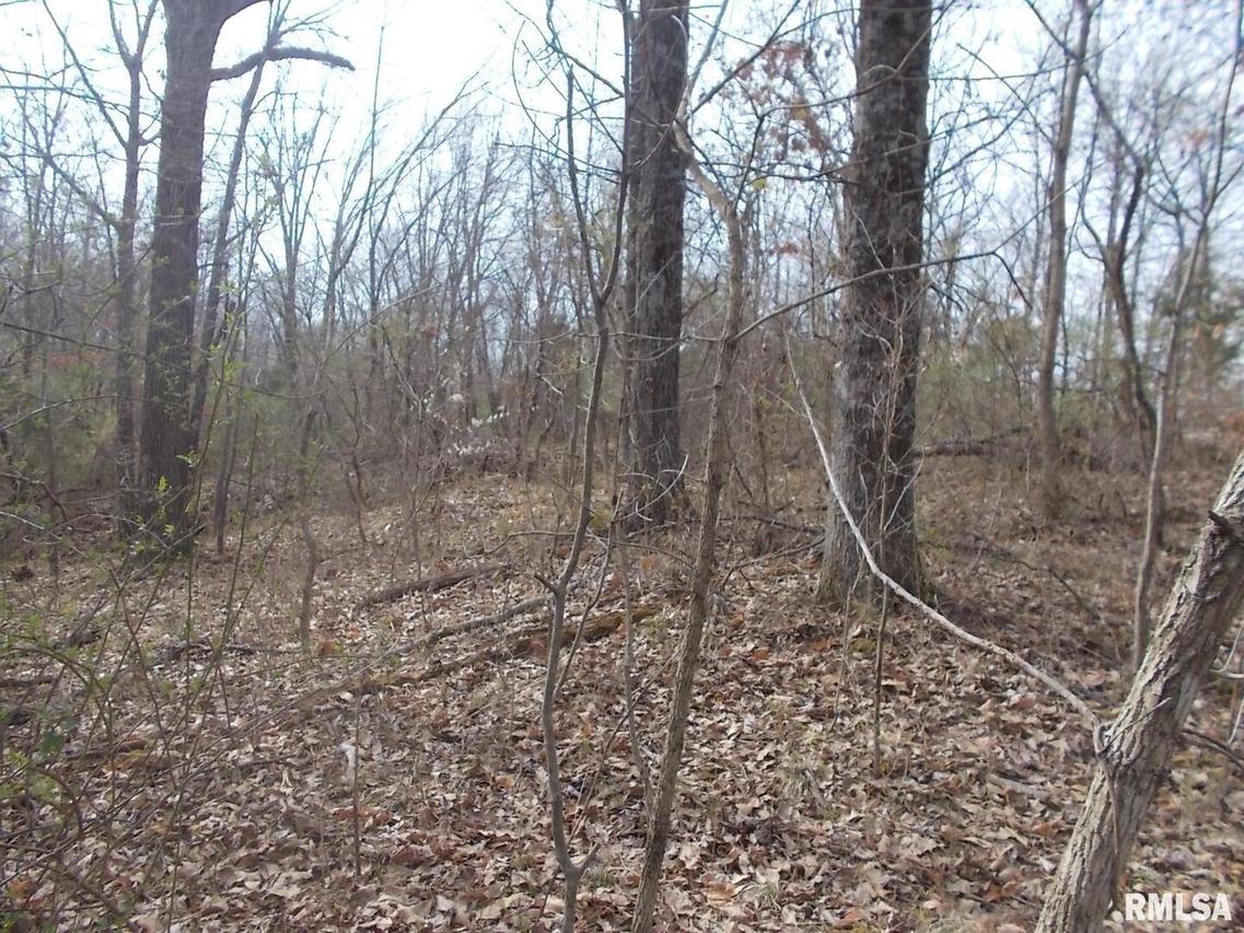 000 State Route 4 Hwy., Campbell Hill, IL 62916