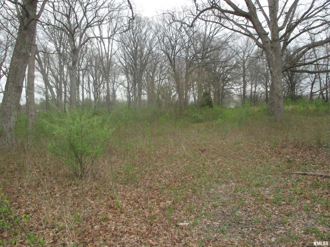 0000 Route 37 Hwy., Whittington, IL