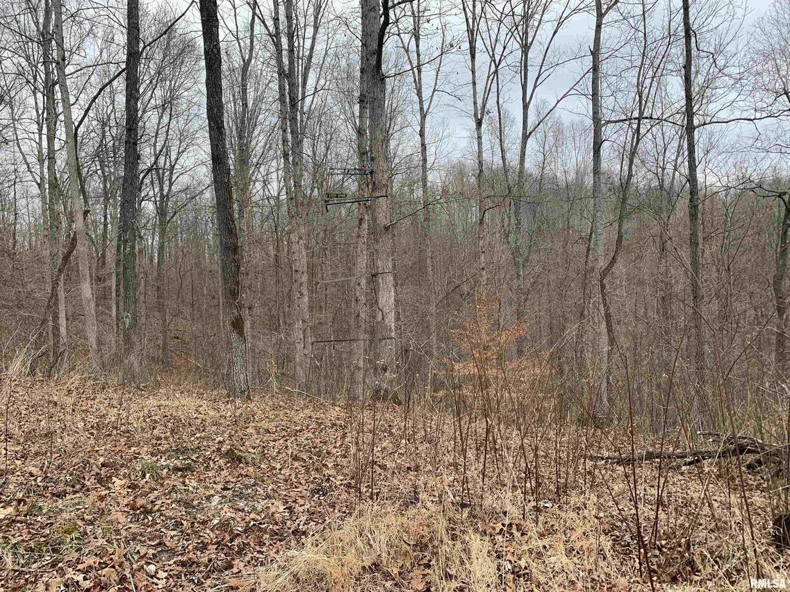 000 New Hope Rd., Herod, IL 62947