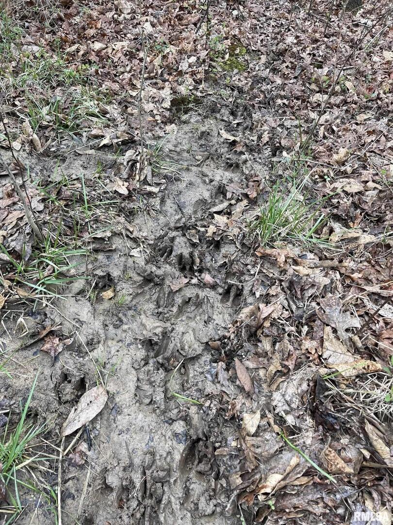 000 Phelps Rd., Centralia, IL 62801