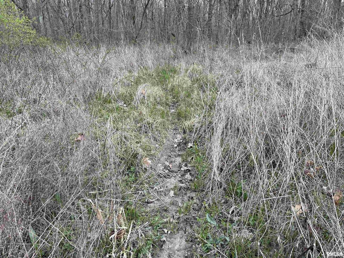 000 State Route 161, Centralia, IL 62801