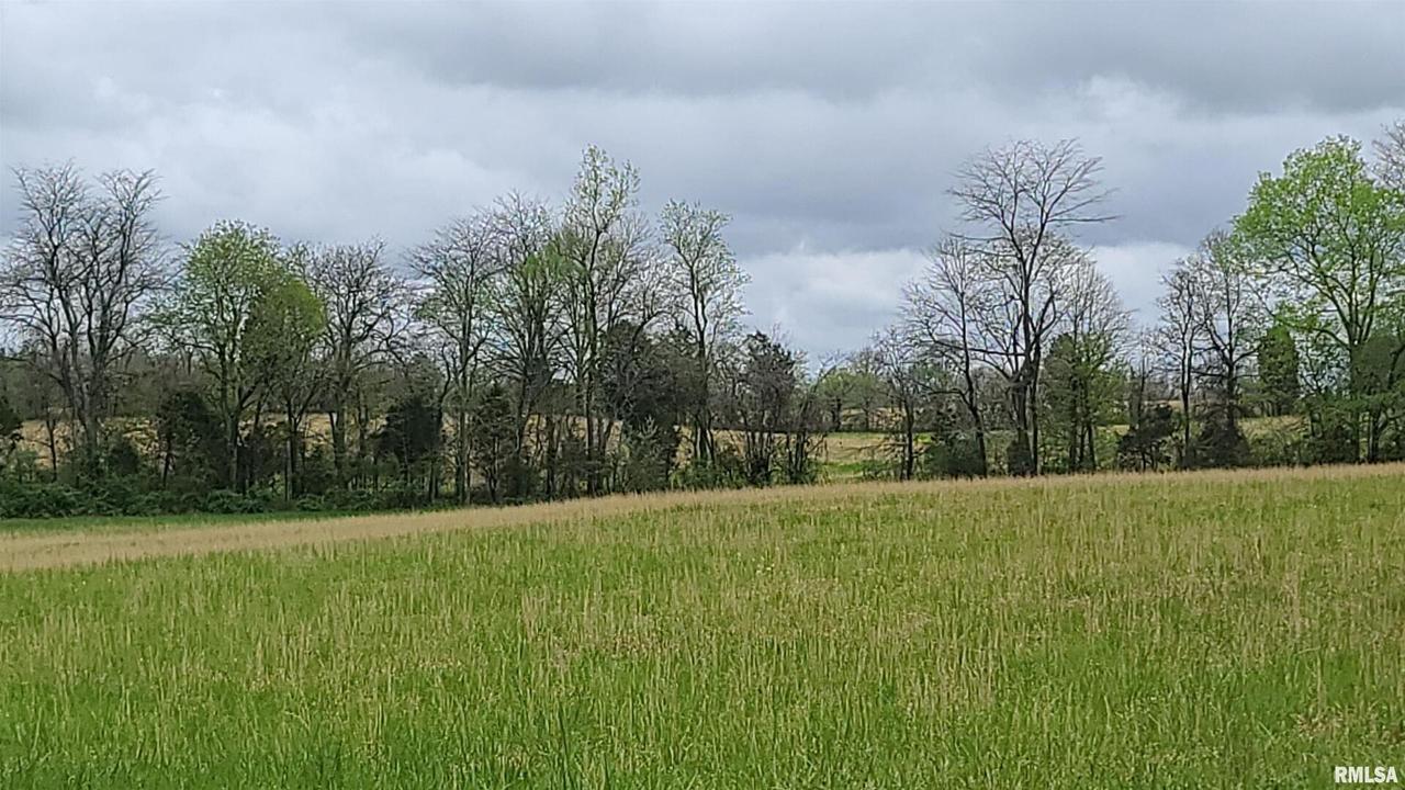 0000 Old Home Rd., Eddyville, IL 62928