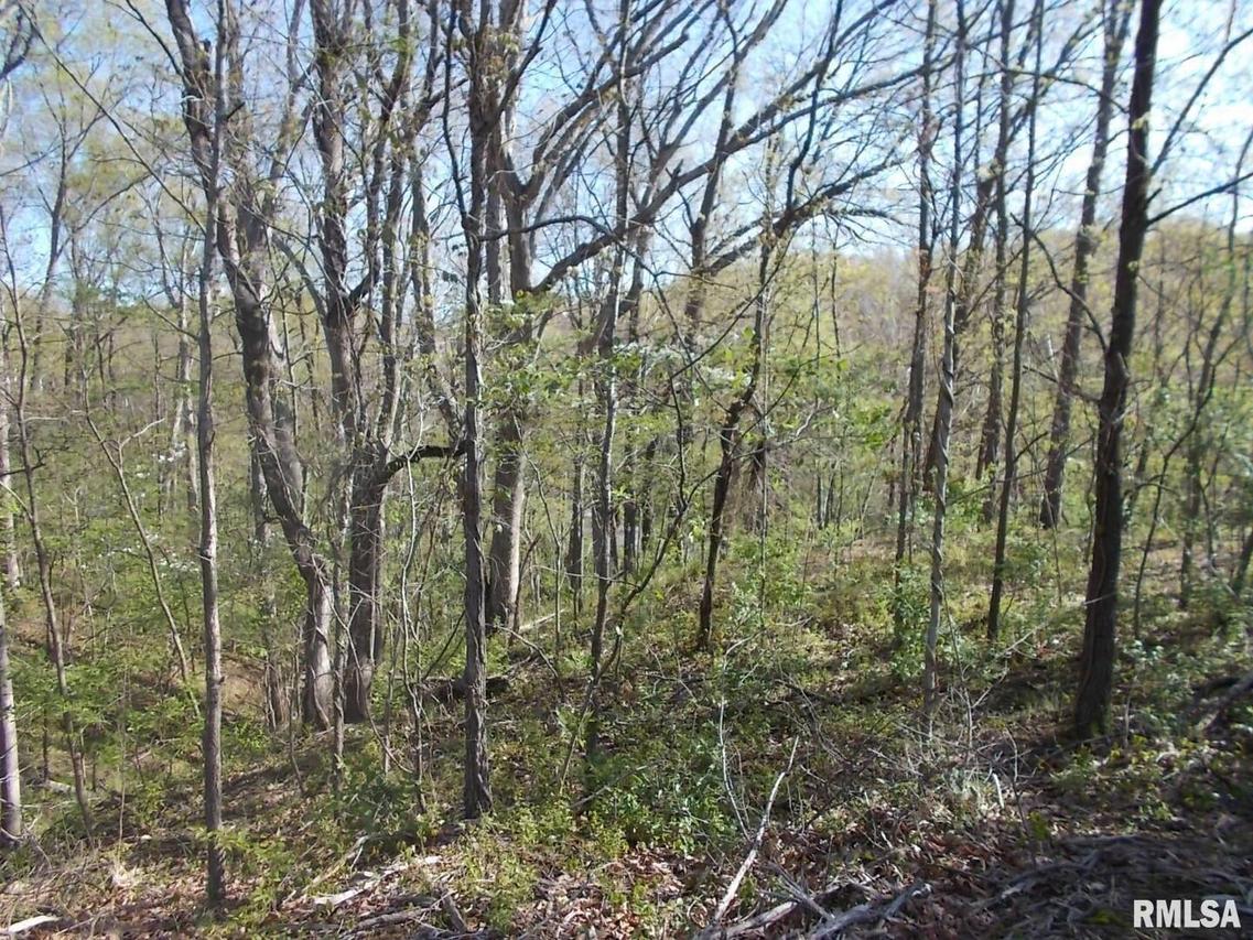 1133 Union School Rd., Ava, IL