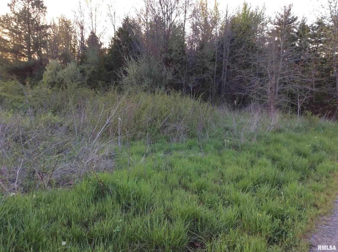 0000 N Log Cabin Ln., Mt Vernon, IL 62864