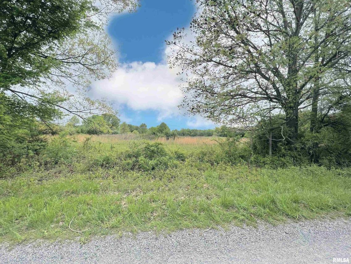 000 Franklin St., Coello, IL 62825