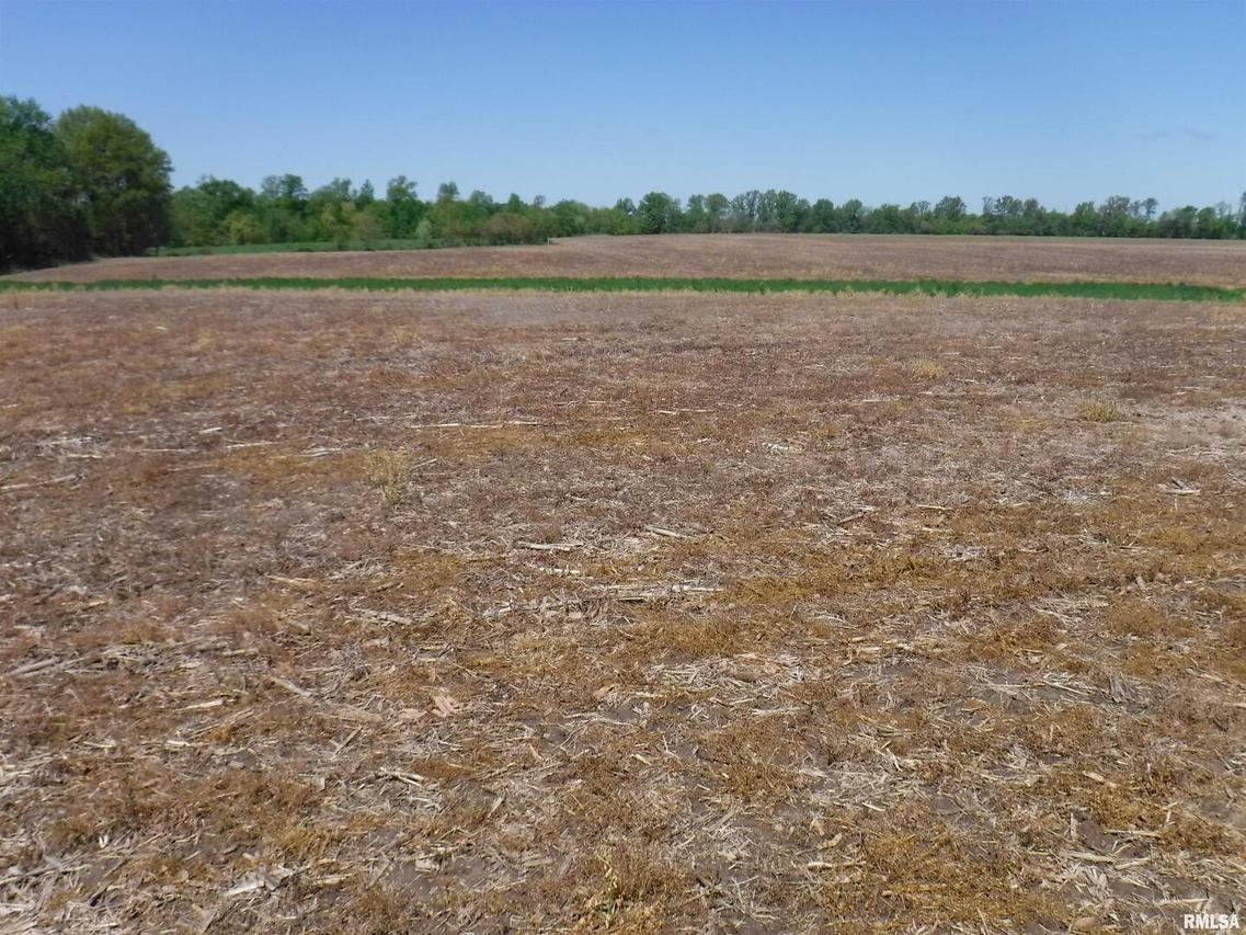 Hackberry Rd., Xenia, IL 62899