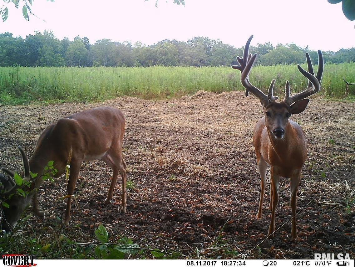 000 N Old Centralia Ln., Mt Vernon, IL 62864