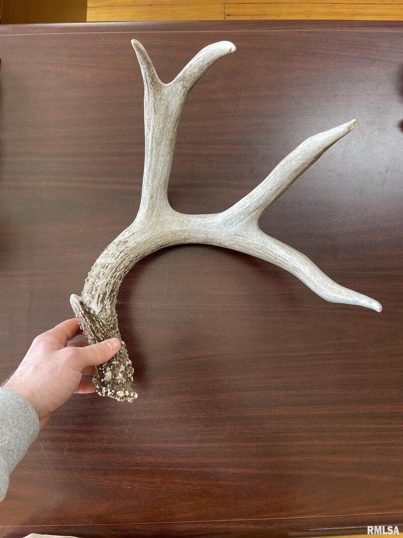 000 Route 161 Hwy., Centralia, IL 62801