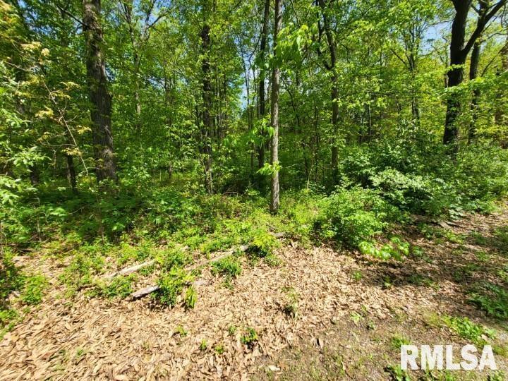 000 Turrell Ln., Mt Vernon, IL 62864