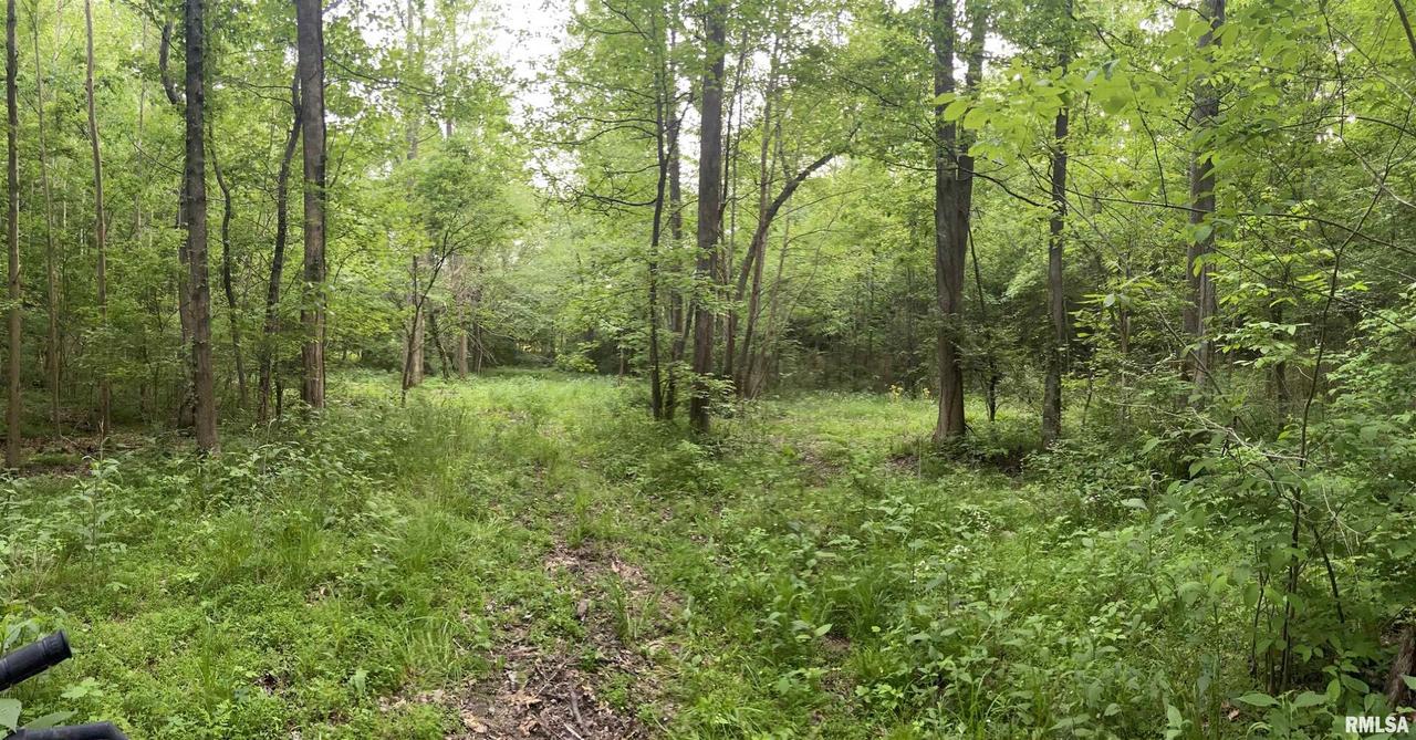 000 Morgan School Rd., Jonesboro, IL 62952