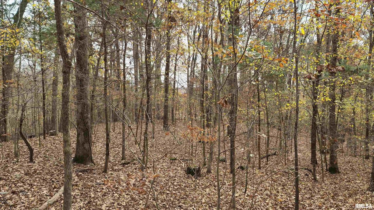 19 Shawnee Bluff Ln., Simpson, IL