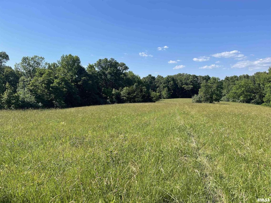 tbd Route 37 Hwy., Goreville, IL 62939