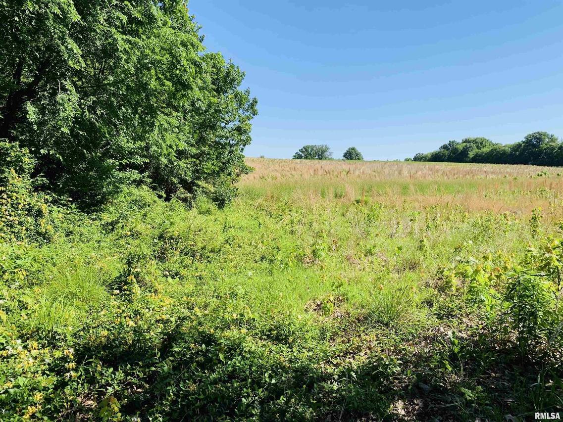 0000 N State Route 142 Route, Eldorado, IL 62930