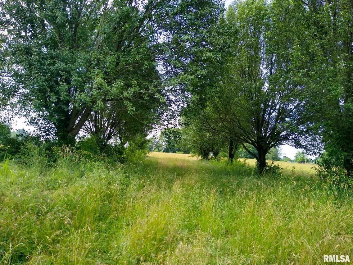 0000 Bethlehem Church Rd., Vienna, IL 62995