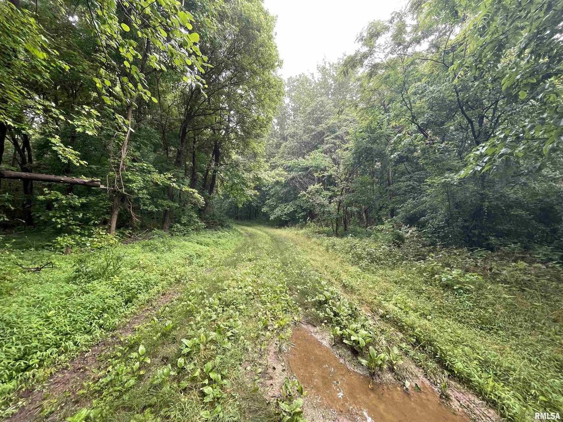 000 Pryortown Rd., Villa Ridge, IL 62996