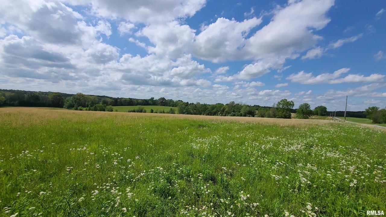 0000 Glendale Rd., Golconda, IL 62938